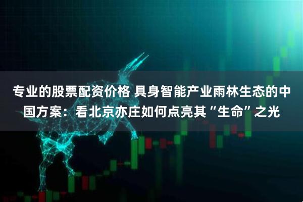 专业的股票配资价格 具身智能产业雨林生态的中国方案：看北京亦庄如何点亮其“生命”之光