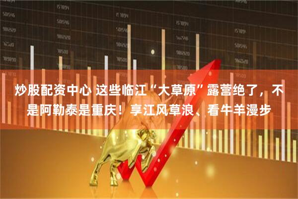 炒股配资中心 这些临江“大草原”露营绝了，不是阿勒泰是重庆！享江风草浪、看牛羊漫步